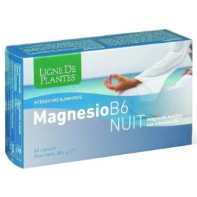 MAGNESIO B6 NUIT 60 CAPSULE