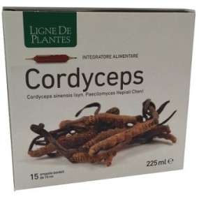 CORDYCEPS 15 AMPOLLE BEVIBILI DA 15 ML