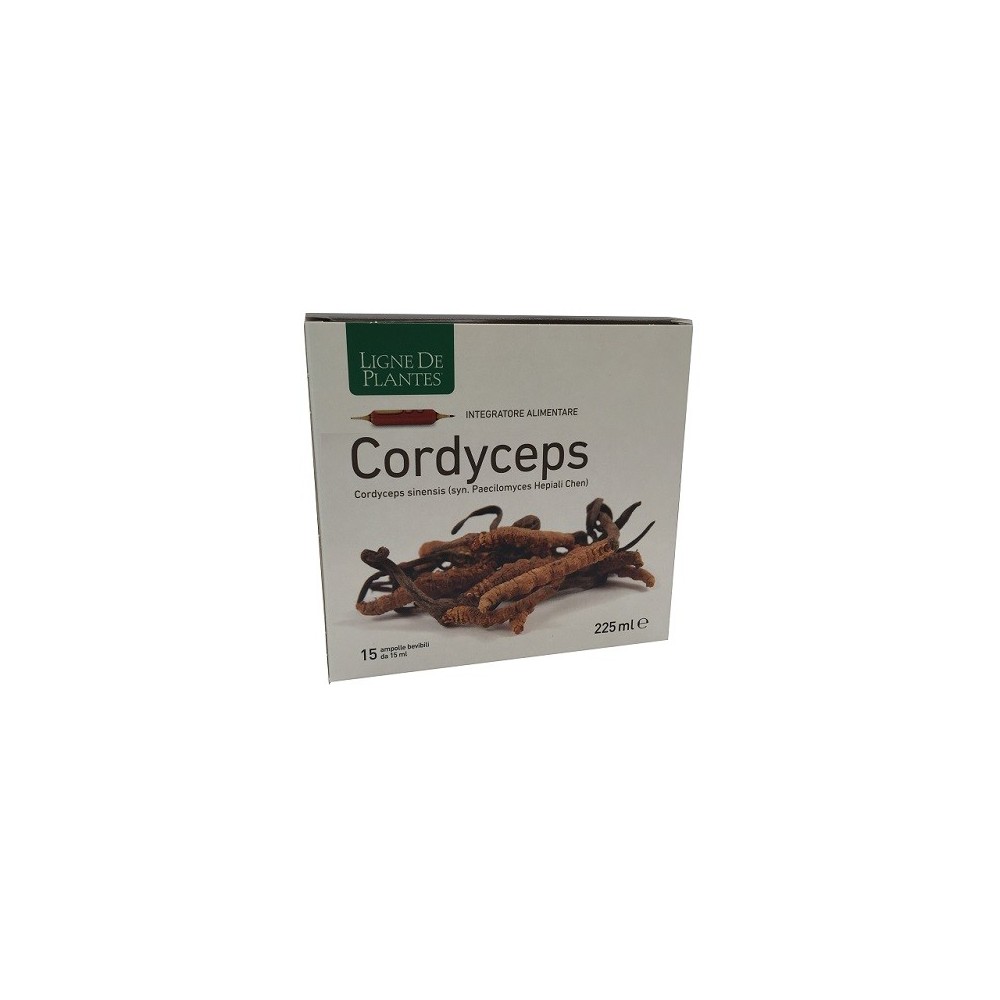 CORDYCEPS 15 AMPOLLE BEVIBILI DA 15 ML