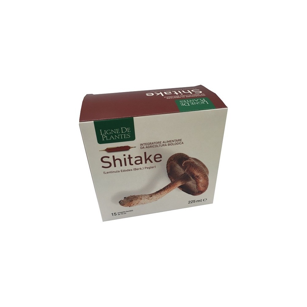 LIGNE DE PLANTES SHITAKE BIO 15 AMPOLLE DA 15 ML