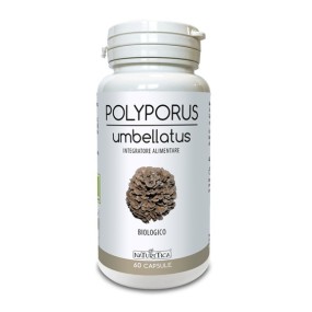 POLYPORUS UMBELLATUS 60 CAPSULE