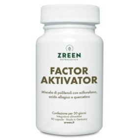 ZREEN FACTOR AKTIVATOR 90 CAPSULE