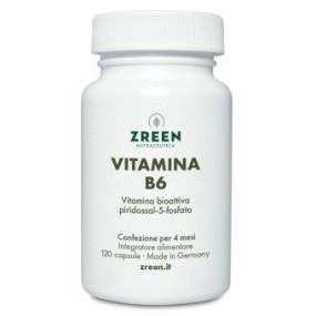 ZREEN VITAMINA B6 120 CAPSULE