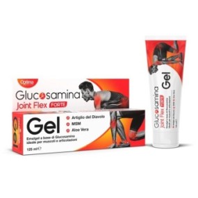 GLUCOSAMINA JOINT FLEX GEL FORTE 125 ML