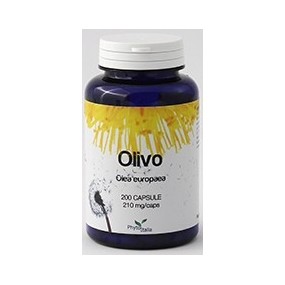 OLIVO 60 CAPSULE