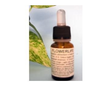 FLOWER LIFE 15ML