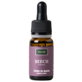 BEECH 10 ML