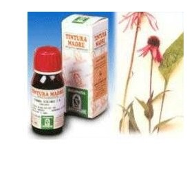 ECHINACEA 59 50ML TM