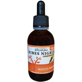 RIBES NIGRUM SUCCO MADRE 50 ML