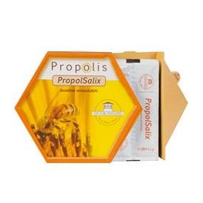 PROPOLIS PROPOLSA BUST 15G