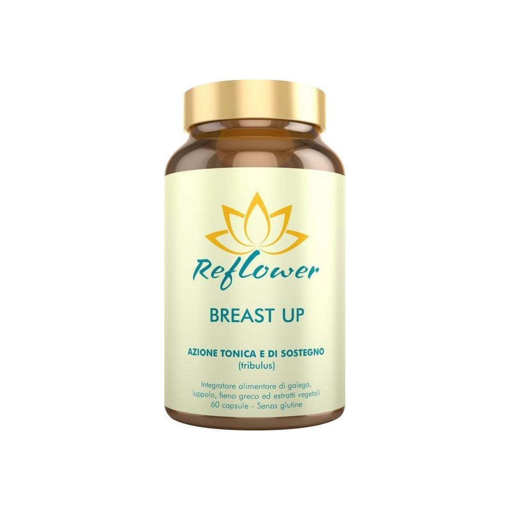 REFLOWER BREAST UP 60 CAPSULE