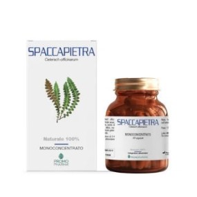 SPACCAPIETRA 50 CAPSULE