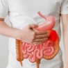 Colon Irritabile