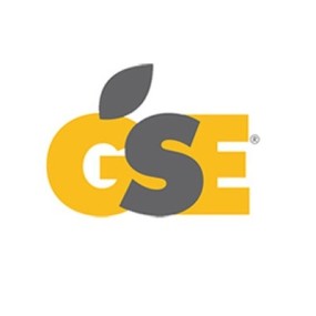 GSE